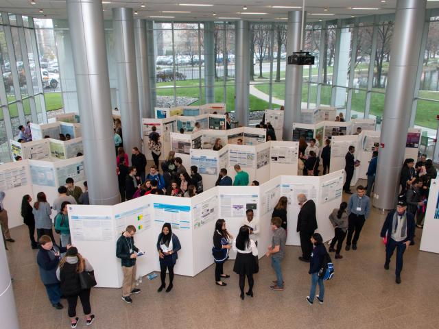 Research days students at poster presentations. School and Clinical Psychology, LPC Qualification, Medical Technology