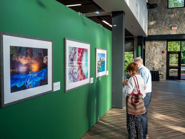 Visitors enjoy pieces at the National Geographic 'Rarely Seen' exhibit at LHAC