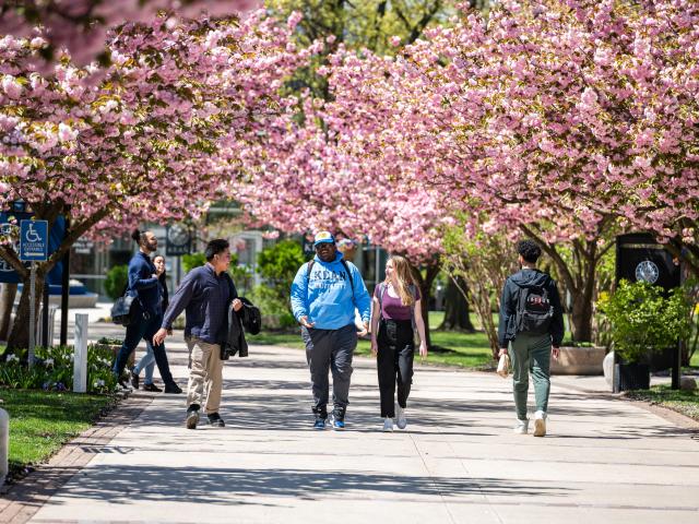 Kean campus in spring shows students among flowering trees