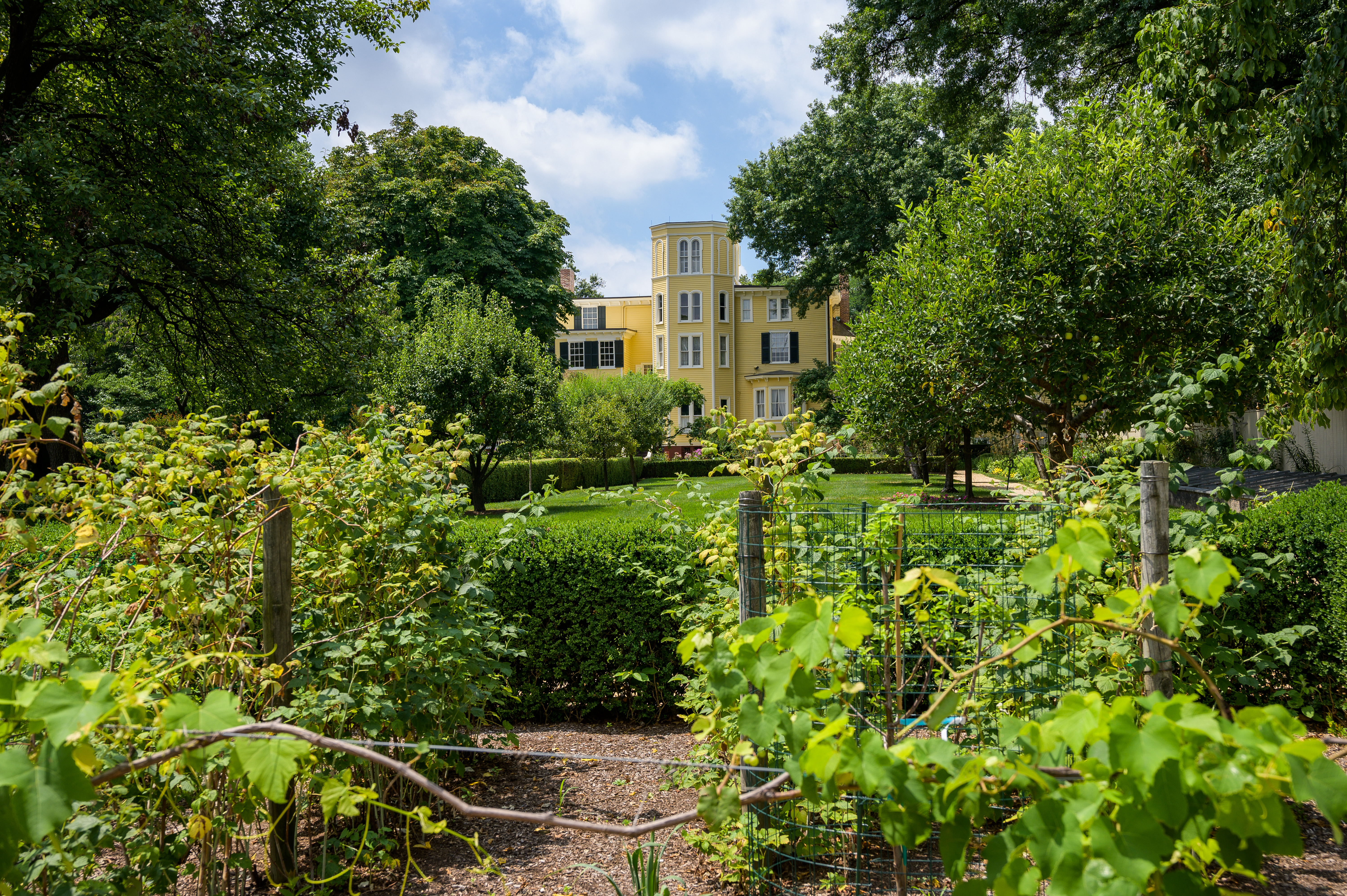 Liberty Hall's gardens and grounds with Liberty Hall Museum as a backdrop.