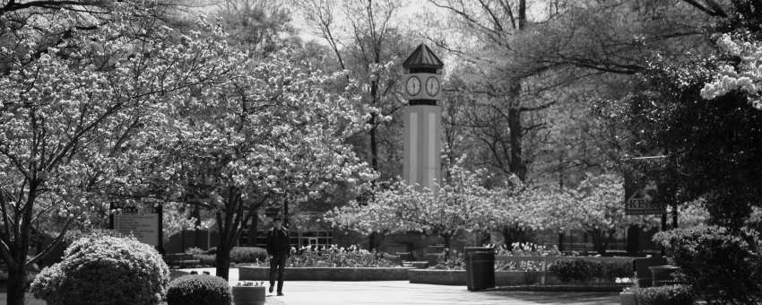 Clock tower through view of flowers
