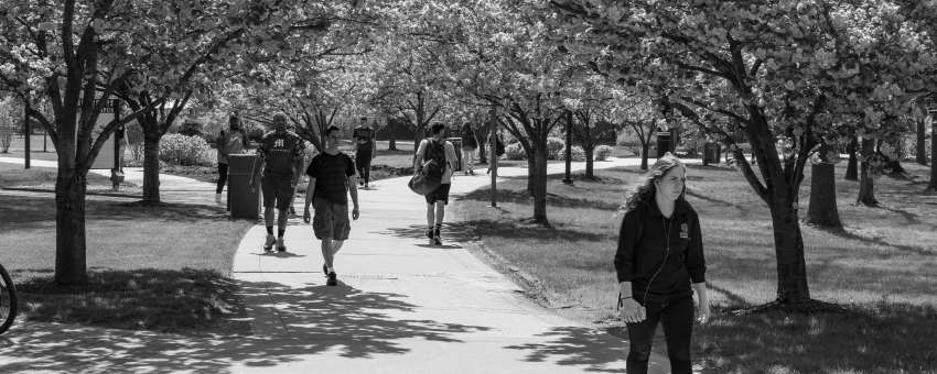 Kean students stroll down Cougar Walk.
