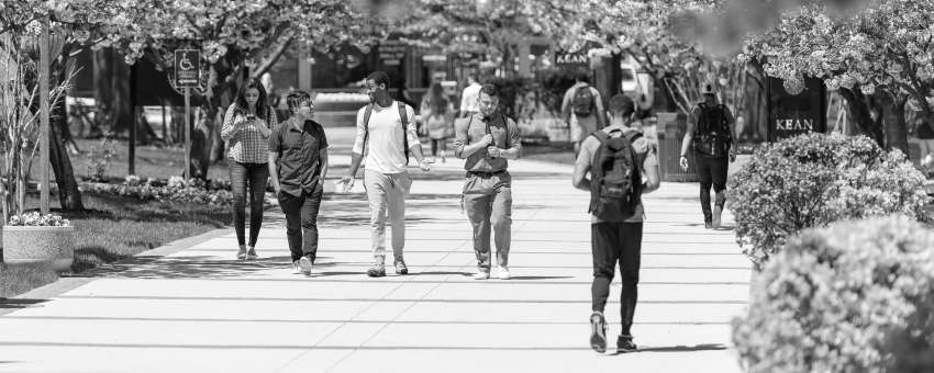 Kean students walk a cherry blossom lined path at Kean's Union campus