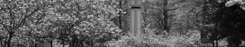Clock tower through view of flowers