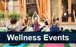 An outdoor fitness class