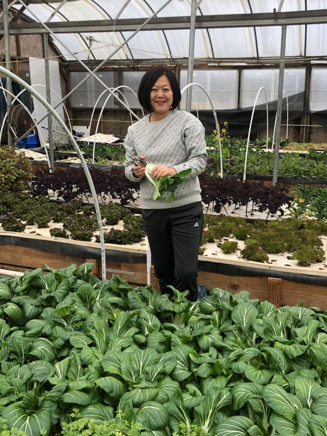 Dongyan Mu, Ph.D., at Drop the Beet Farms, an aquaponic farm
