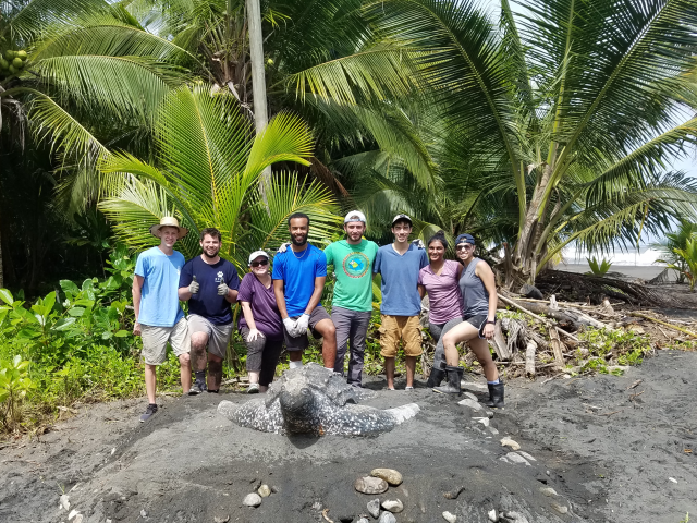 Kean students worked at a turtle habitat on a service trip to Costa Rica.