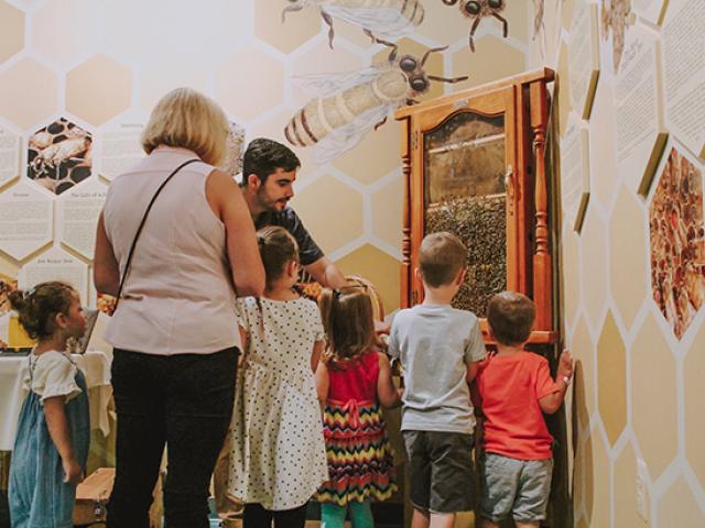 Kean student Mario Cunha teaches a group of children about bees.