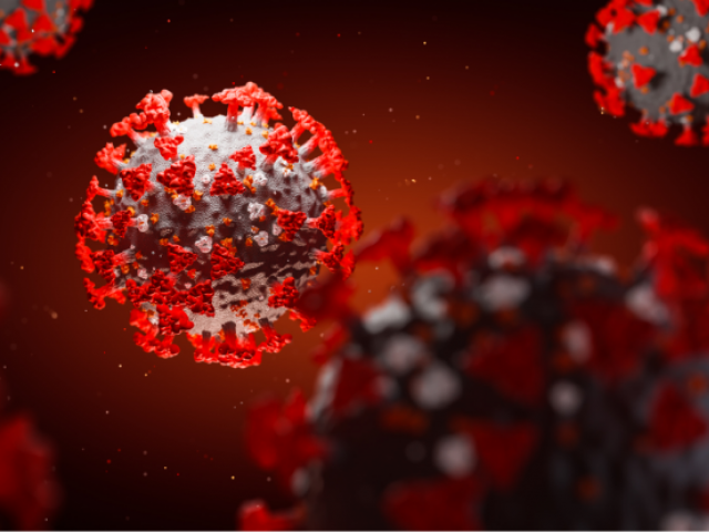 Coronavirus molecule