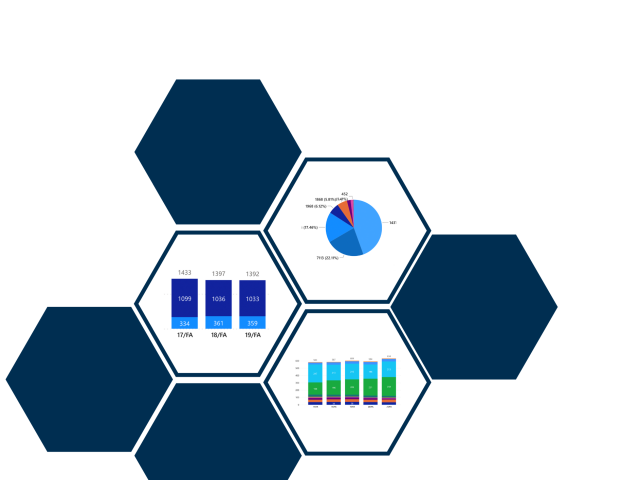 Employee data charts presented in an abstract honeycomb design 