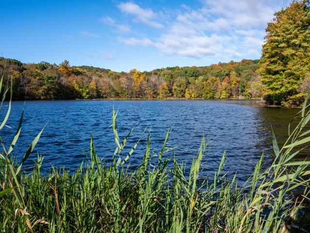 Lake in Skylands