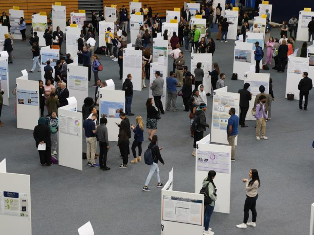 Students stand before their research poster boards, explaining their research to Research Days' visitors.