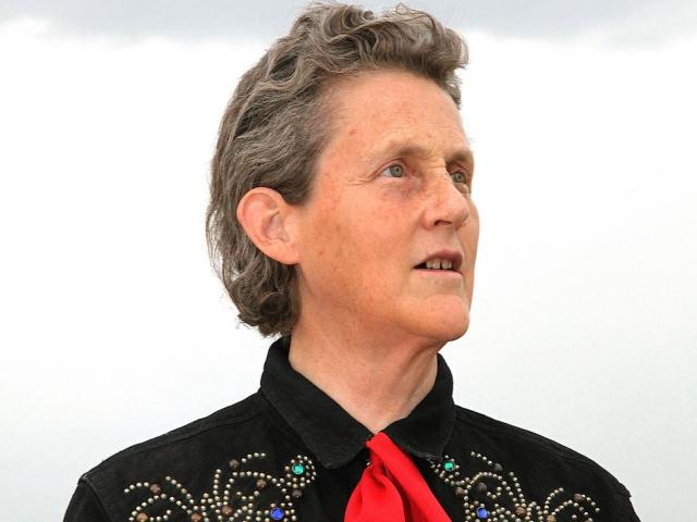 A headshot of autism advocate Temple Grandin, Ph.D. 