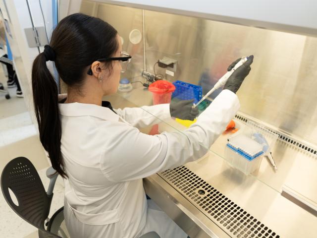 Student works in Kean Diagnostic Lab
