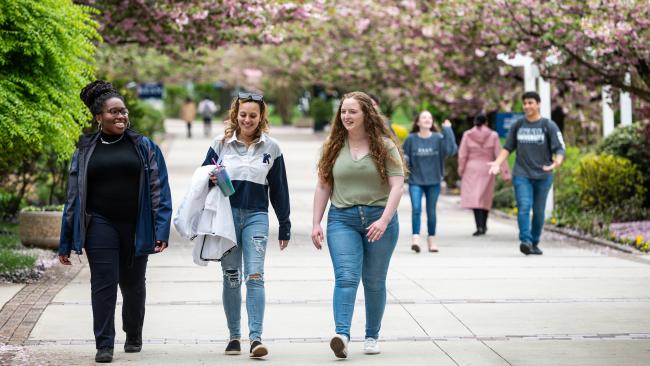 Kean students walk down Cougar Walk in the Spring