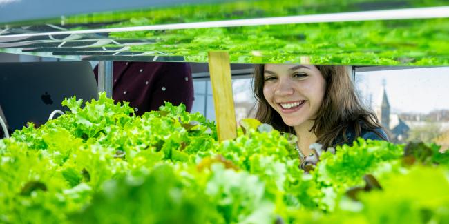 Kean student experiments with hydroponic farming