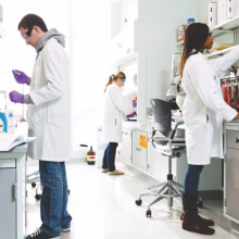 Three people at work in a lab