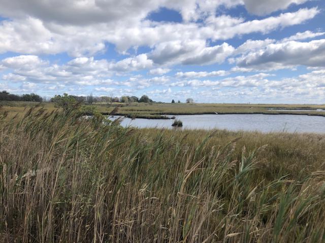 Kean Ocean takes advantage of its coastal environment to offer environmental biology