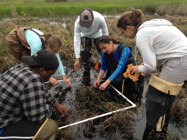 Students and faculty doing research in a swamp