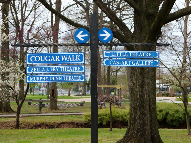 Cougar walk signage (Murphy DunnTheatre).JPG