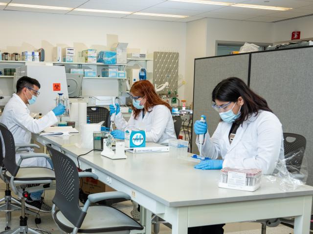 Kean students conduct laboratory testing