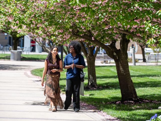 Graduate Students