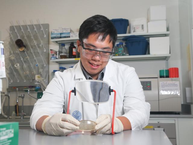 A Kean student researches in a Biology lab