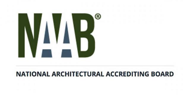 Naab logo 2