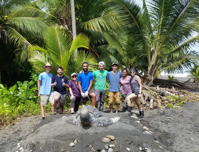 Kean students worked at a turtle habitat on a service trip to Costa Rica.