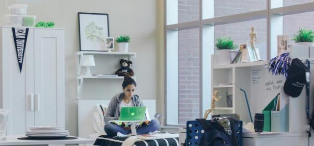 Ikea Ultimate Dorm Room