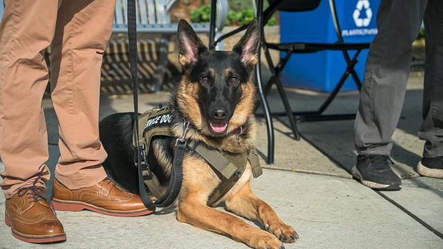 K-9 service dog Keen accompanies Kean student-veteran Jason Pryor