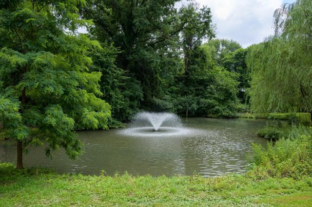 This is an image of the fountain inside the pond at Liberty Hall Academic Center 