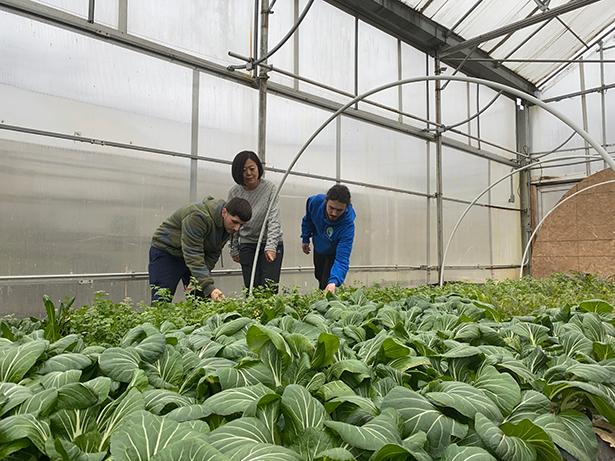 Dongyan Mu, Ph.D., at Drop the Beet Farms in Freehold. With her are Kean student Andrew Diaz, left, and farm owner Cody Parker, right.