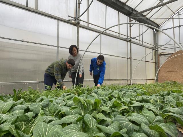 Dongyan Mu, Ph.D., at Drop the Beet Farms in Freehold