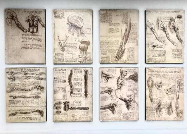 Anatomical drawings from Da Vinci: Inventions