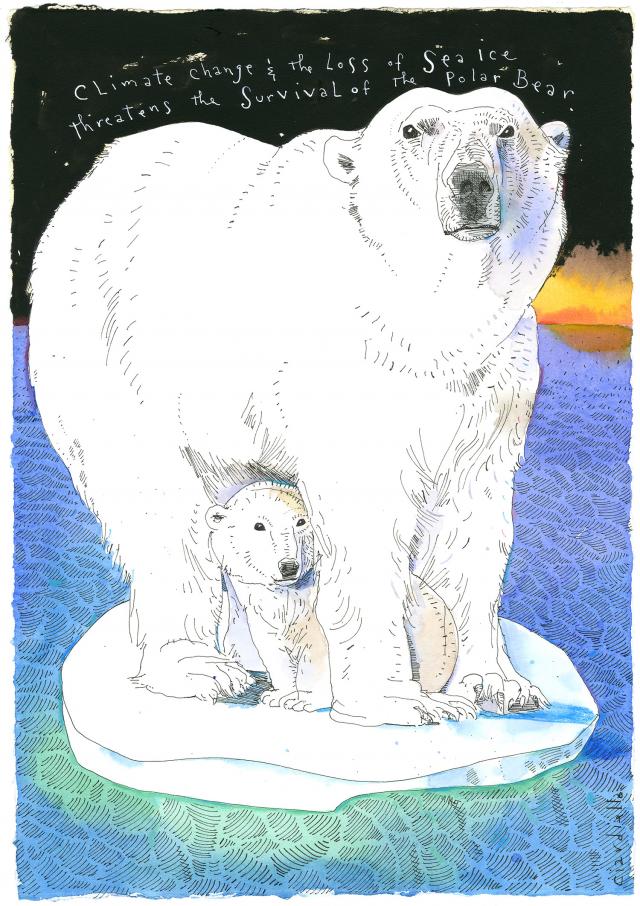 Polar Bears by Joe Ciardiello, 2010