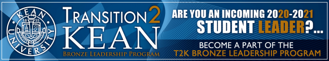 T2K Bronze Leadership Program