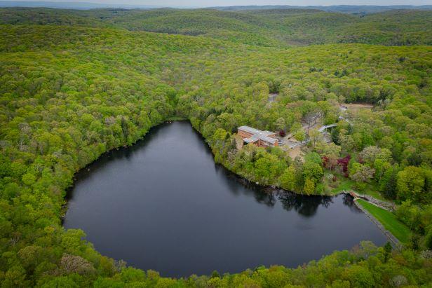 Q A: Kean Expert Advocates Using Nature to Heal and Help Kean University