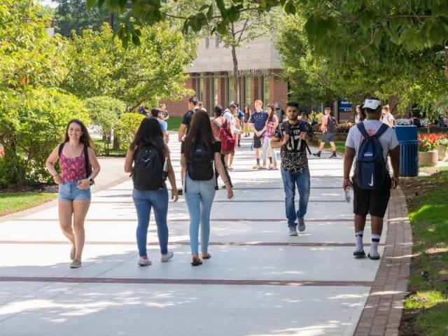 Cougar Walk