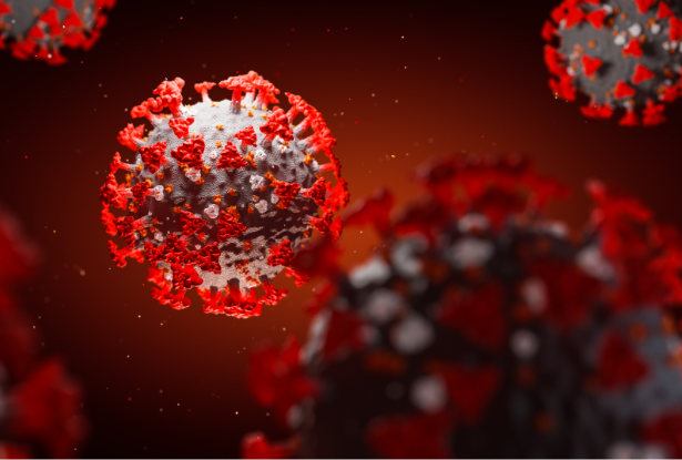 Coronavirus molecule