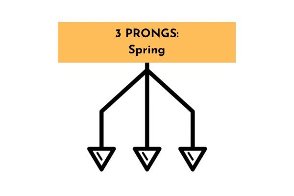 Spring prong