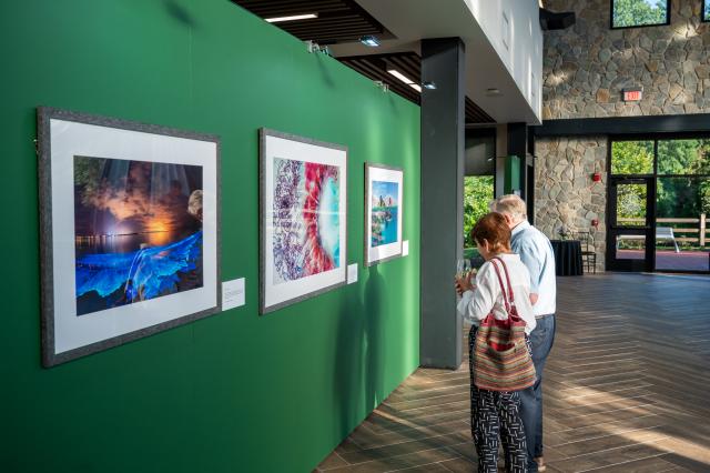 Visitors enjoy pieces at the National Geographic 'Rarely Seen' exhibit at LHAC