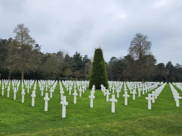 Rows of white crosses against green grass in a graveyard
