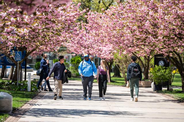 Kean campus in spring shows students among flowering trees