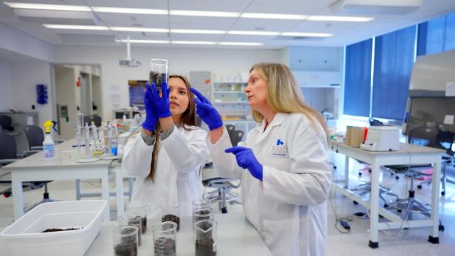 The College Tour en EspaƱol Research still