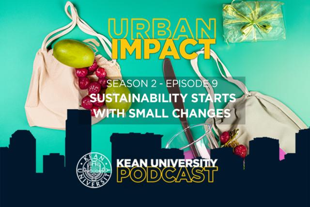 A graphic image with a grocery bag of fruit, with the words, Urban Impact.
