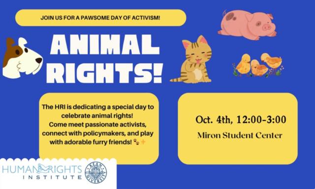 Animal Rights
