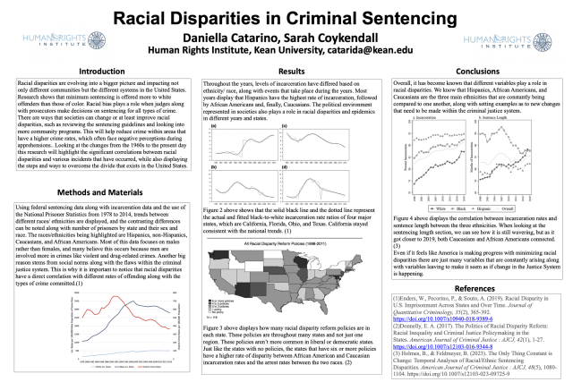 Poster on Racial Disparities in Criminal Sentencing