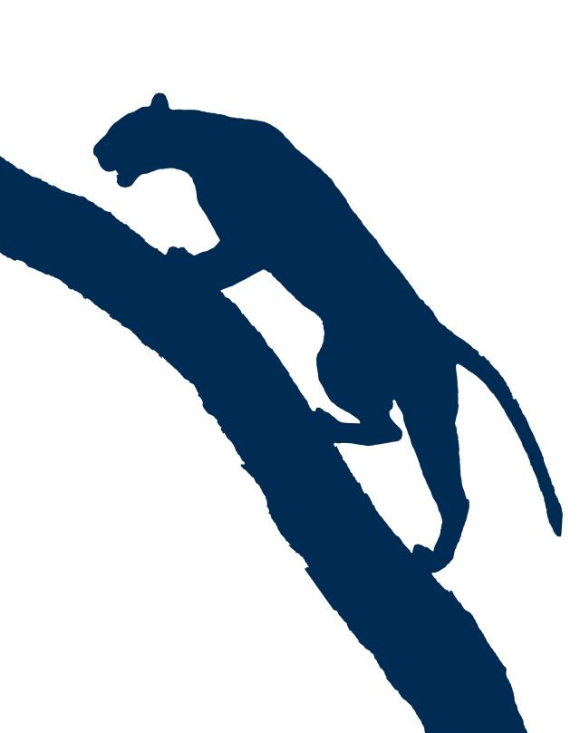 Cougar Climbing Tree