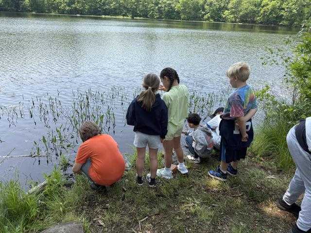 Group of student grabbing samples from lake using nets